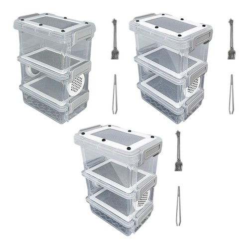 Crickets zuchtbox für - crickets,