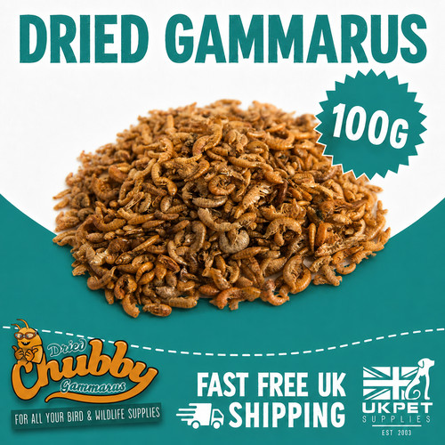 Getrocknete gammarus garnelen - getrocknete,
