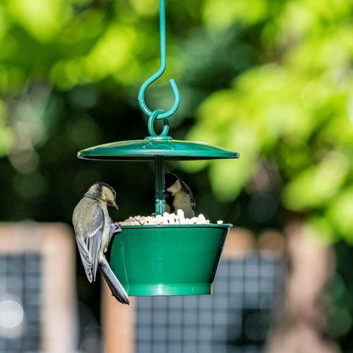 Vogelfutterspender für