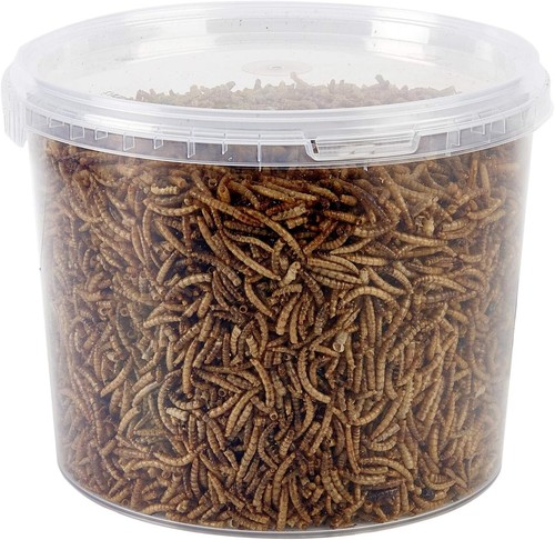 Garten ting getrocknete - ting,