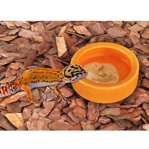Reptilienfutter oder - ,