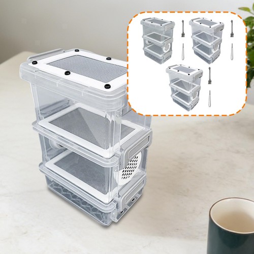 Crickets zuchtbox für - zuchtbox,