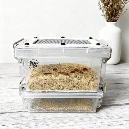 Futterbox für kakerlaken - futterbox,