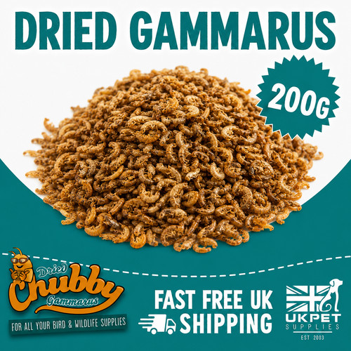 Getrocknete gammarus garnelen - getrocknete,